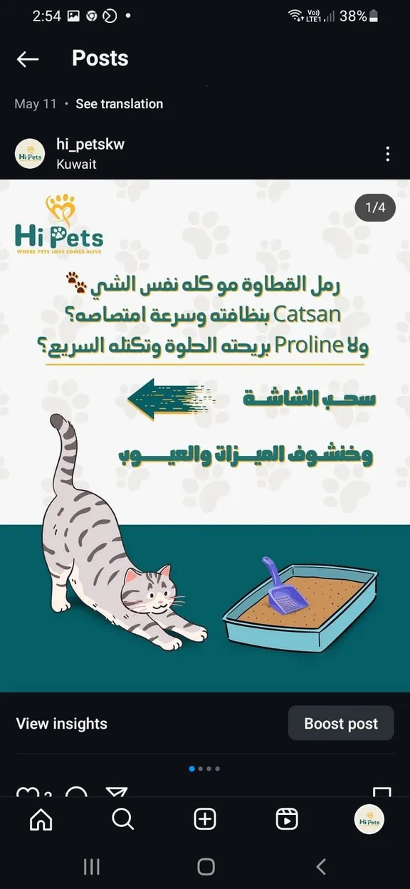 Hi Pets post promoting cat litter
